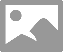 atcodedog05_0-1602682653426.png