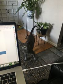 Image from iOS (1).jpg