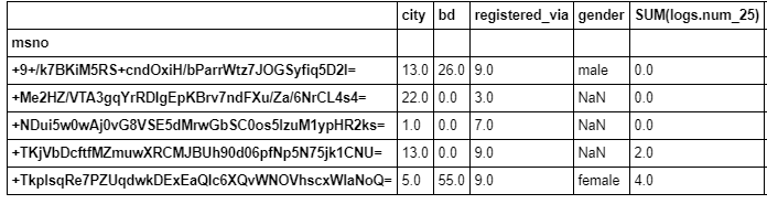 A subset of the 230 features for one partition of customers.