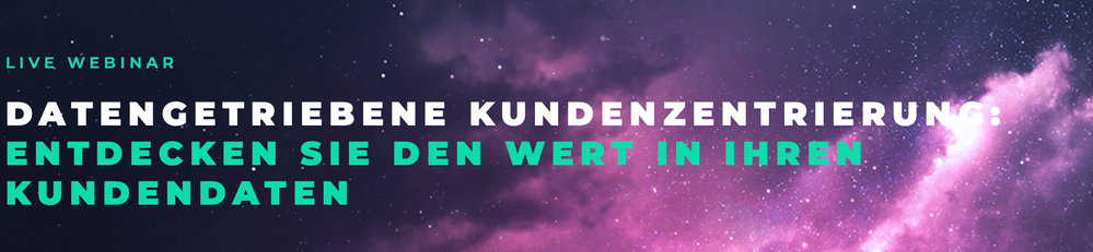 Datengetriebene Kundenzentrierung= Entdecken Sie den Wert in Ihren Kundendaten.png