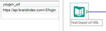Text Input for URL.JPG