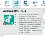 Wildcard XLSX Input.png