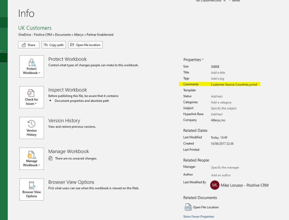 Excel file info 2.PNG