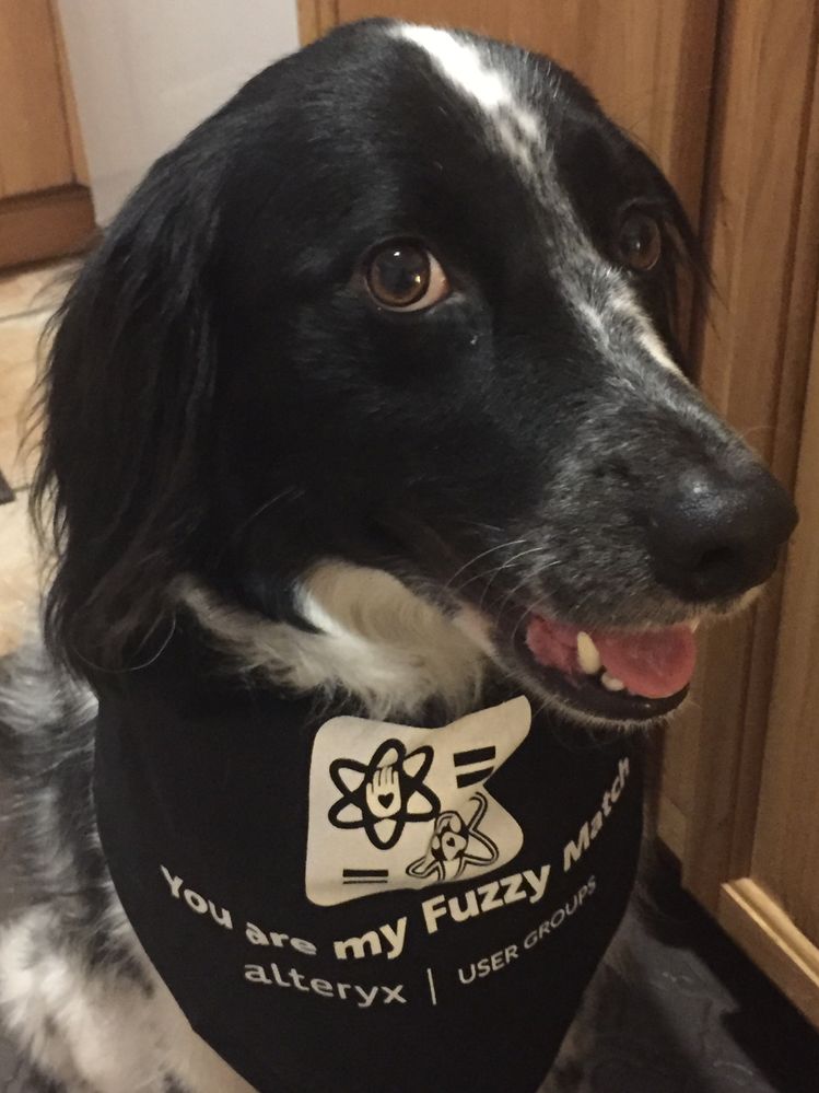 Lady and her Fuzzy Match Bandanna