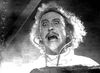 young_frankenstein1.jpeg