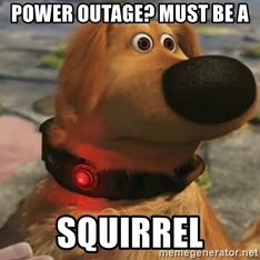 power-outage-must-be-a-squirrel.jpg