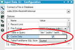 Input Cache Option