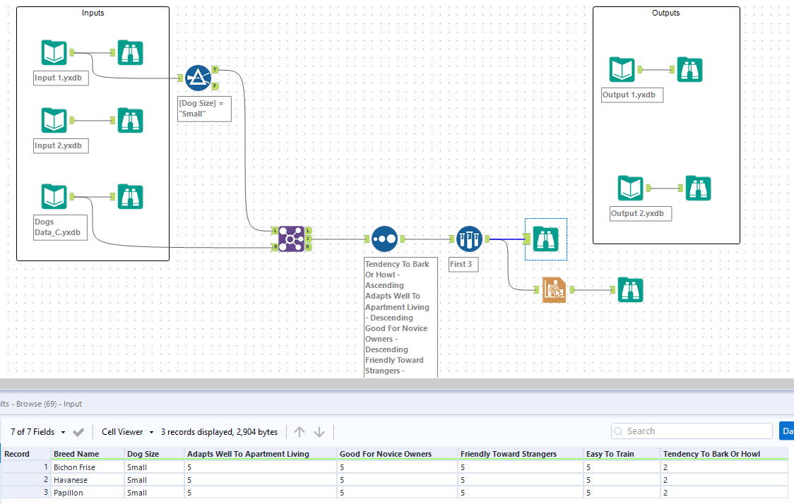 Challenge #318: My first dog - Alteryx Community