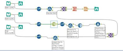 alteryx quiz scnshot.JPG