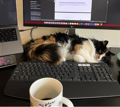 MeganDibble_0-1662565805287.png MeganDibble_0-1662565805287.png