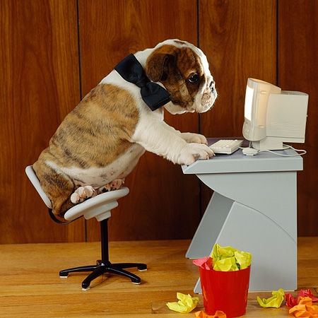 puppy-compiler.jpg