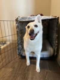 Charity_K_Wilson_5-1682973391561.jpeg Charity_K_Wilson_5-1682973391561.jpeg