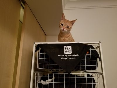20180315_235527.jpg
