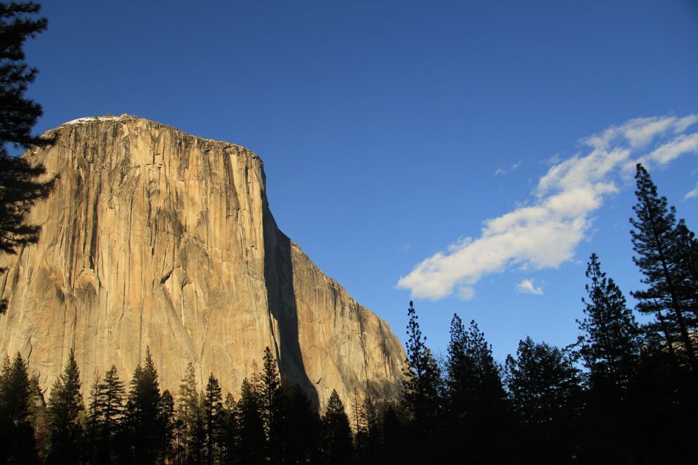 The half dome @ Yosemite