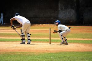 cricket-166930_1280.jpg
