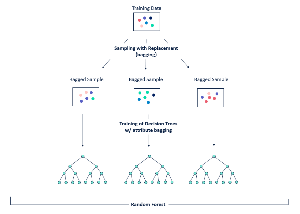 random forest for dummies