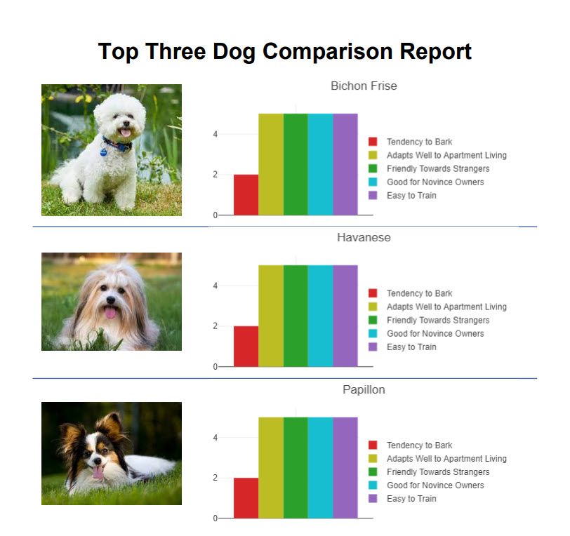 Challenge 318 Report.jpg