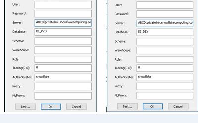 Snowflake ODBC in PRD and DEV Server New.JPG