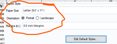 Report Style Defaults.png