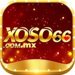 Perfil (xoso66commx)