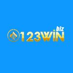 Perfil (123winbiz)