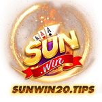 プロファイル(sunwin20tips)