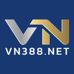 プロファイル(vn388net)