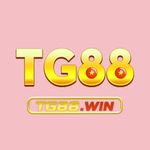 プロファイル(tg88win)