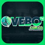 Perfil (vebotvcomco)