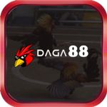 Profile (daga88sh)