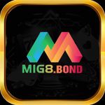 Profil (mig8bond)