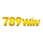 789wininternational-logo.jpg