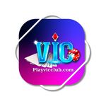 Perfil (playvicclub)