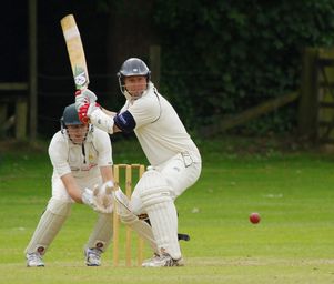 cricket-724617_1280.jpg