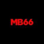 プロファイル(mb668live)