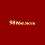 プロファイル(98winblack)