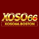 プロファイル(xoso66boston)