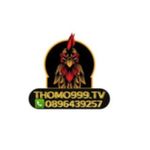 Profil (thomo999tv)