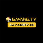 Profil (gavangtvcc)