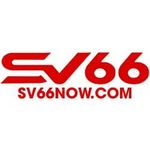 プロファイル(sv66now)