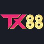 プロファイル(tx88team)