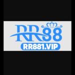 Profile (rr881vip)