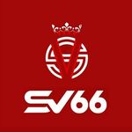 LOGOSV66.jpg