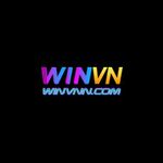 Perfil (winvncom1)