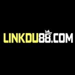 プロファイル(linkdu88com)