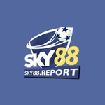 プロファイル(sky88report)