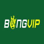 Profil (bongvipong)