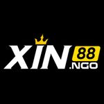 Profile (xin88ngo)