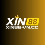 Perfil (xin88vncc)