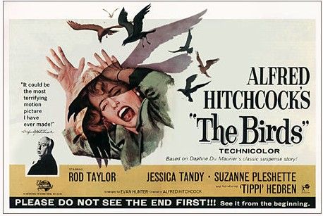 The Birds.jpg